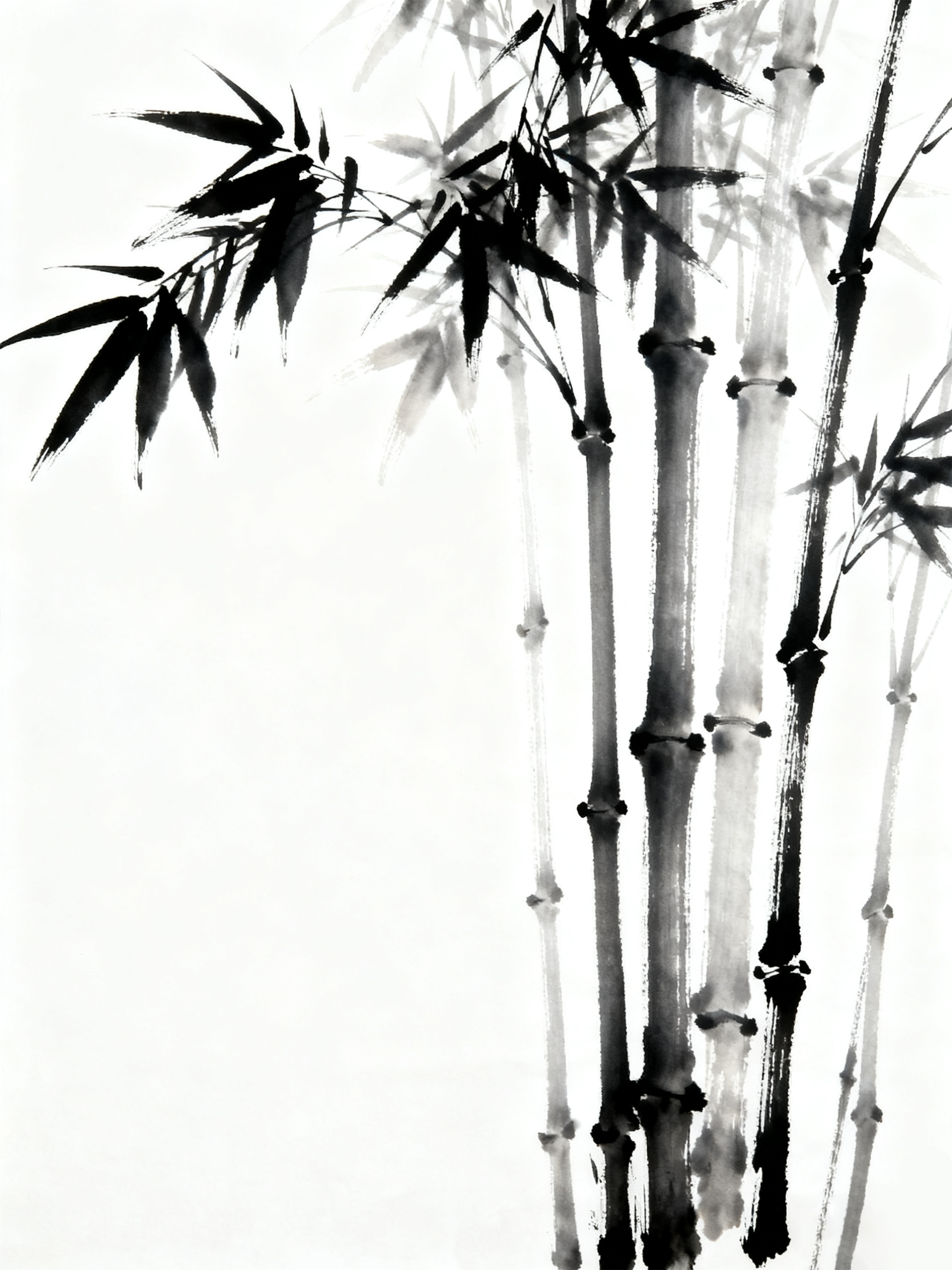 Encre — Récits & Créations, collaboration créative en France